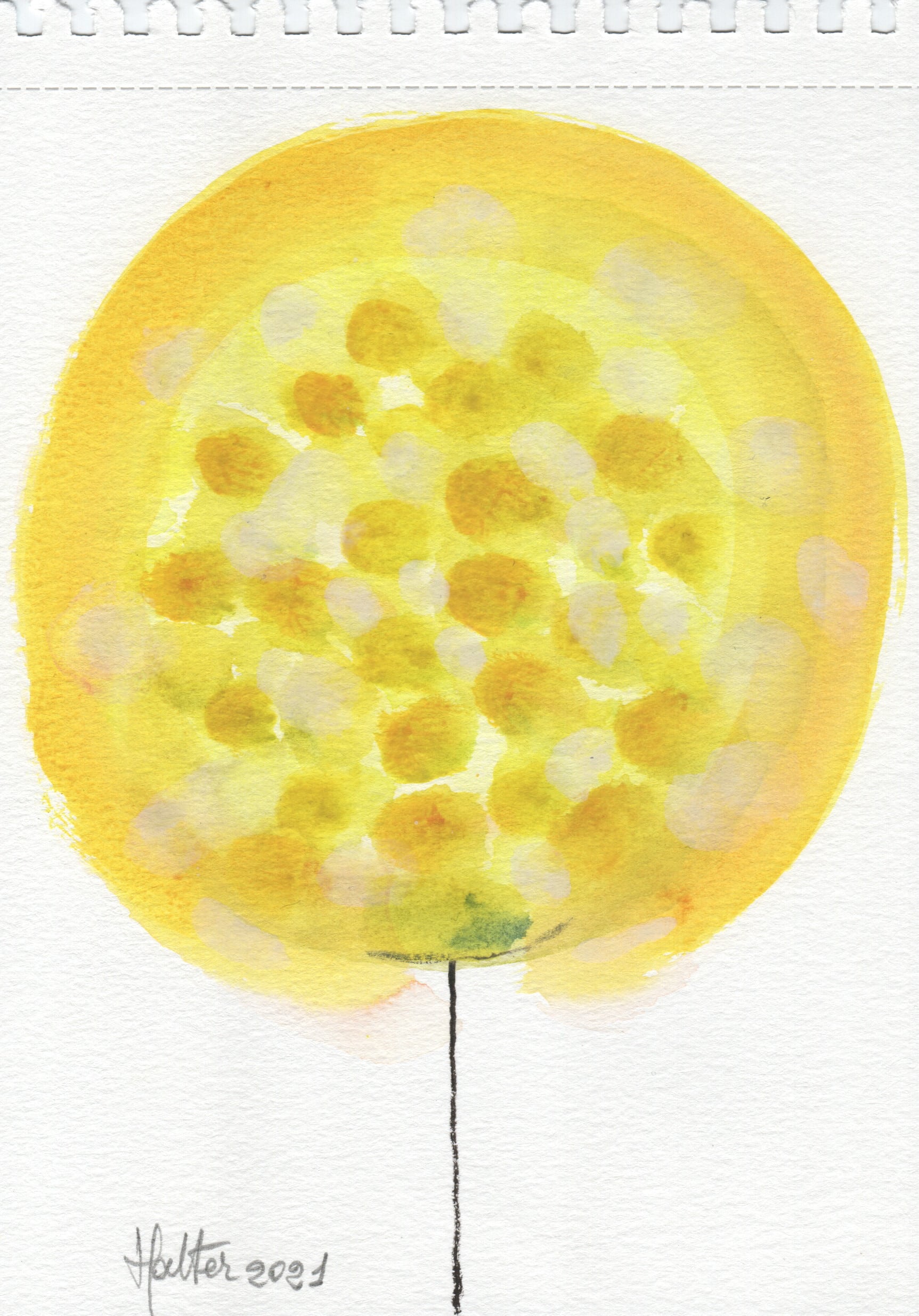 Boule de fleur jaune