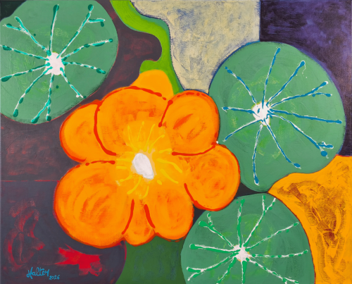 UNE FLEUR ET TROIS FEUILLES DE CAPUCINE