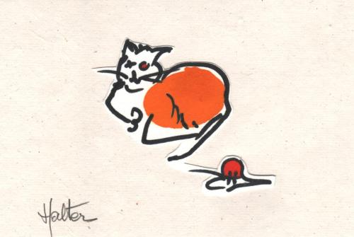 CHAT ORANGE ET ROUGE