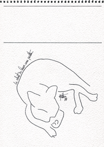 LE CHAT SE LAVE UNE PATTE