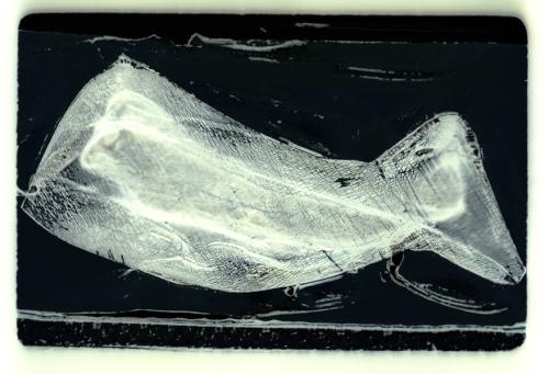 diapographique 014-2