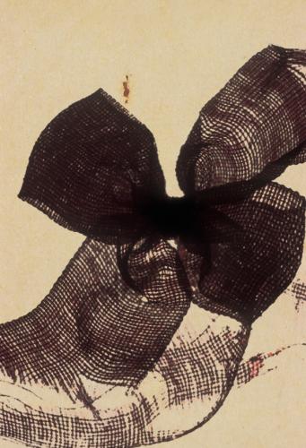 diapographique 017-2